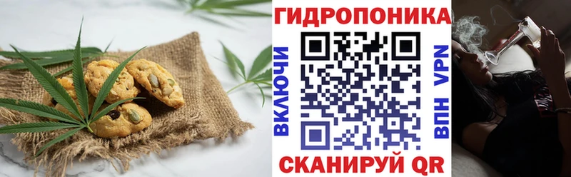 Canna-Cookies конопля  Ноябрьск 