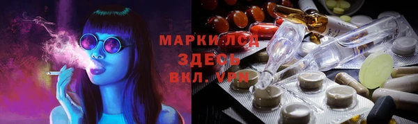 СК Алексин
