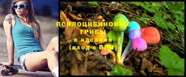 СК Алексин