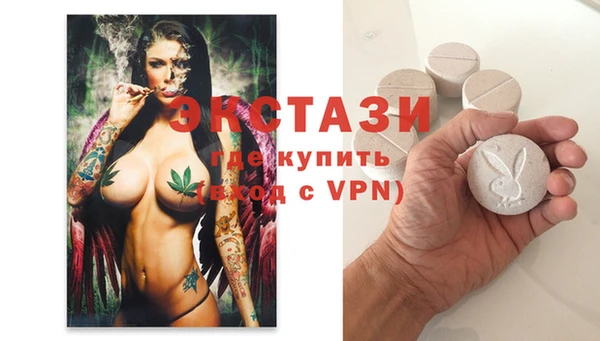 СК Алексин