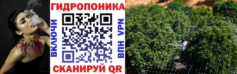 Марихуана Amnesia  Ноябрьск 